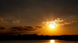 Image by freepik